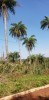 Thumbnail 2000 M2 TERRENO EN PTE FRANCO CAMINO A TRES FRONTERAS0