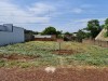 Thumbnail DOS TERRENOS EN SANTA RITA 0